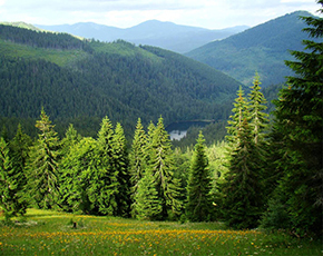 трускавец квартиры посуточно